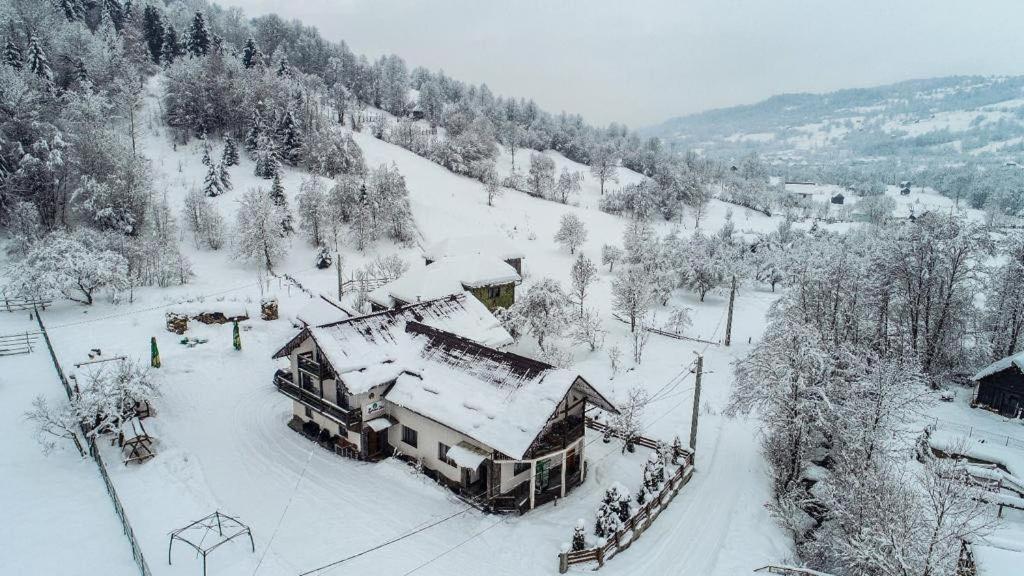 Villa Lacrima Izei à Săcel Extérieur photo