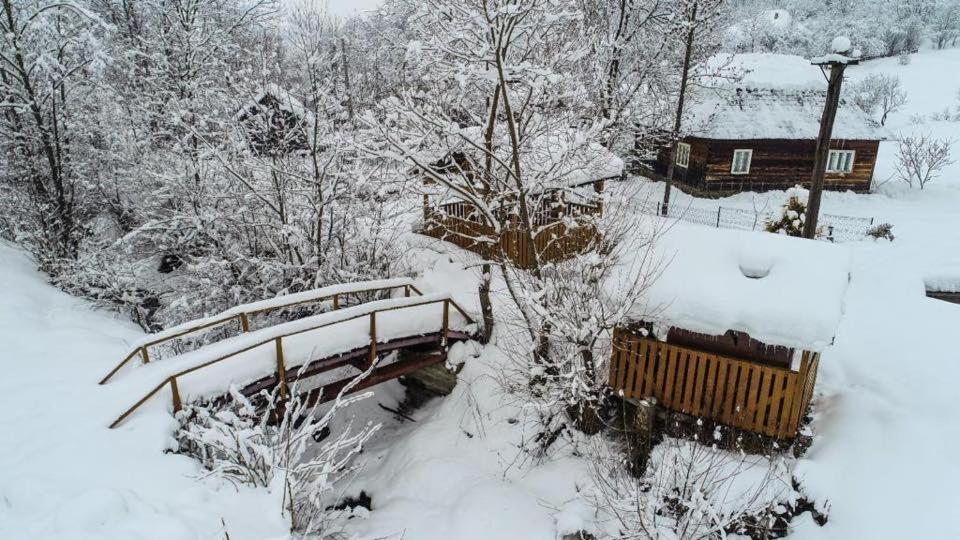 Villa Lacrima Izei à Săcel Extérieur photo