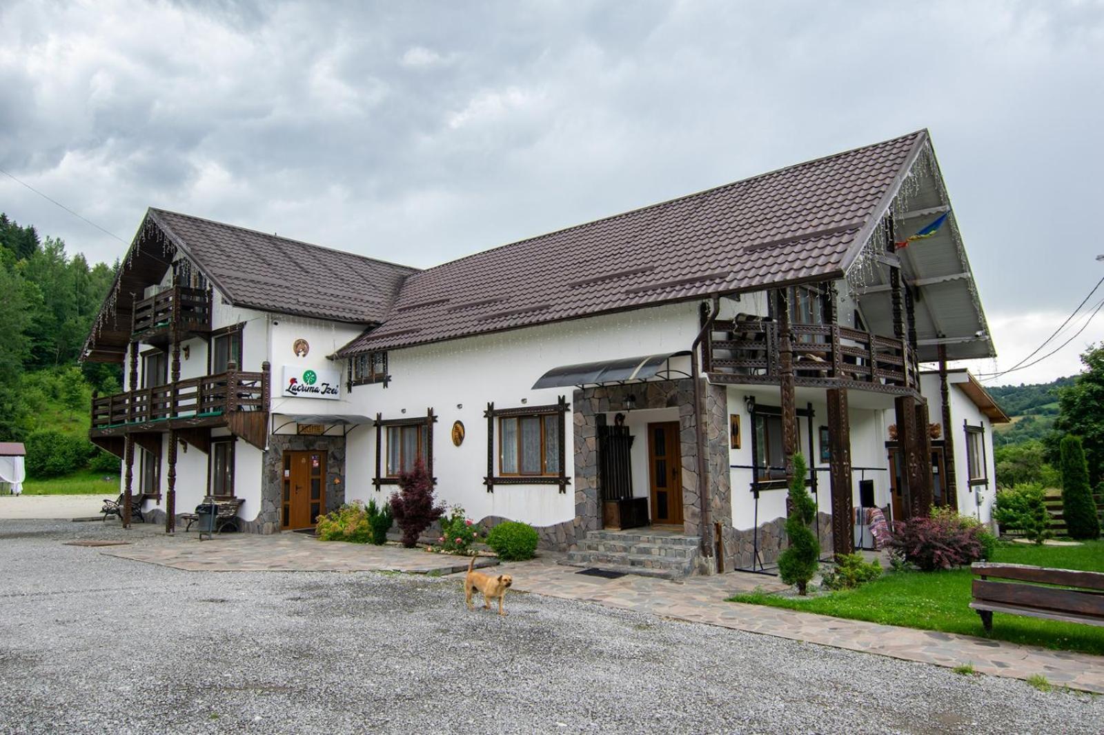 Villa Lacrima Izei à Săcel Extérieur photo