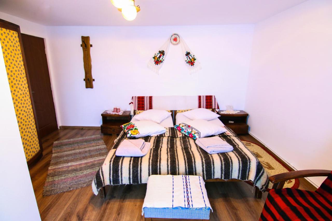 Villa Lacrima Izei à Săcel Extérieur photo