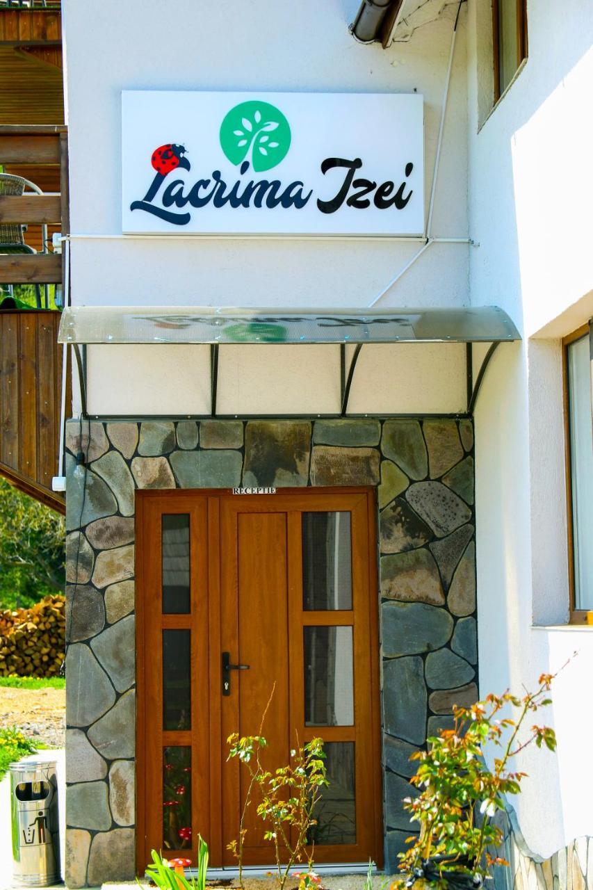Villa Lacrima Izei à Săcel Extérieur photo
