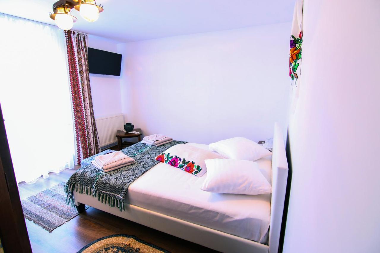 Villa Lacrima Izei à Săcel Extérieur photo