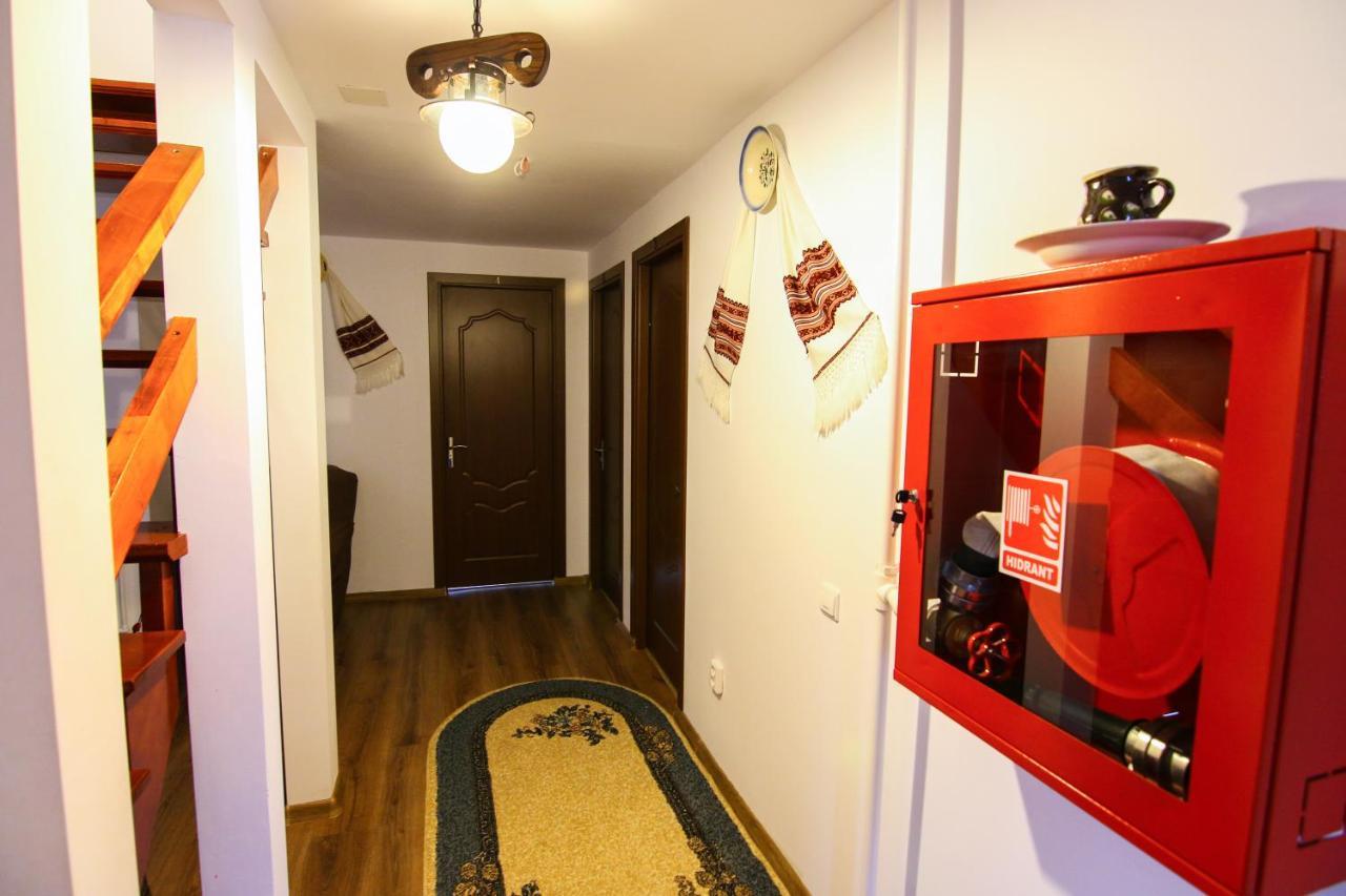 Villa Lacrima Izei à Săcel Extérieur photo